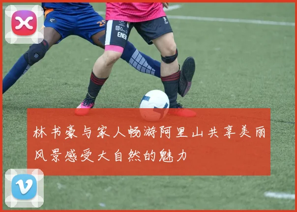 林书豪与家人畅游阿里山共享美丽风景感受大自然的魅力