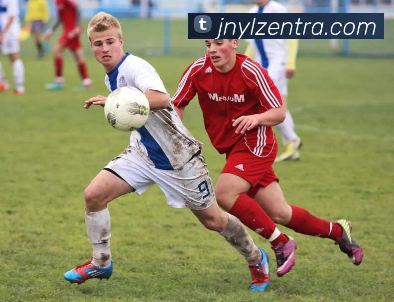 App Interface Preview